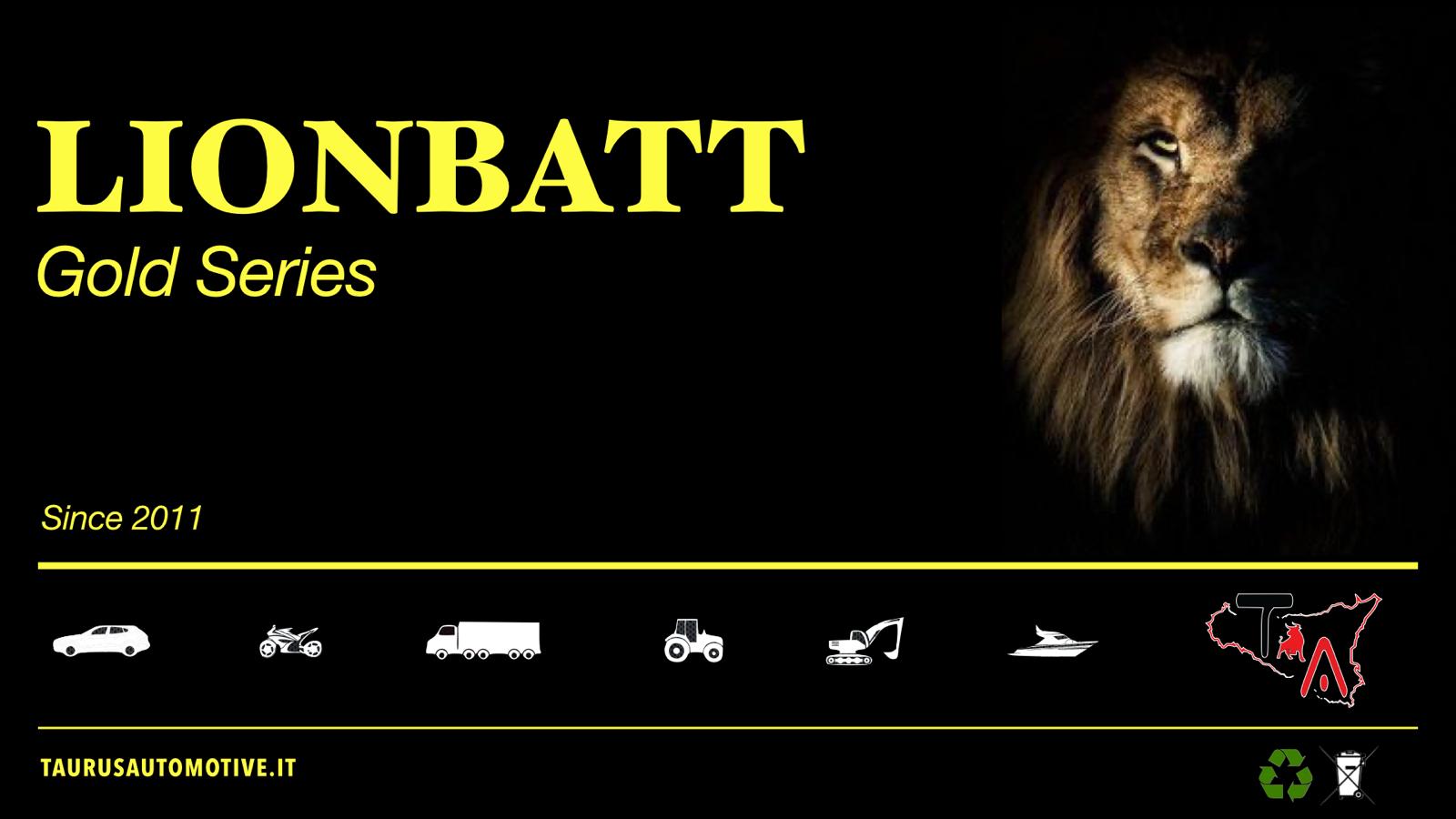 Batteria LionBatt 125ah 850 en dx